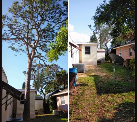 Kats Tree Service - Edgewater, FL