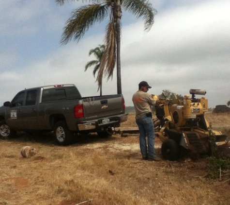 Busy Beaver Tree Service - Vista, CA