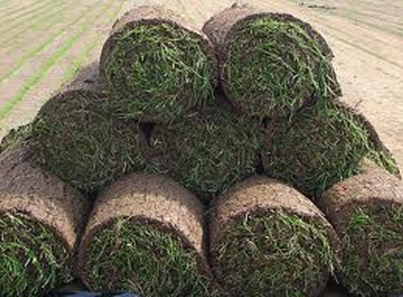 Bundaberg Turf Supplies - Meadowvale, QLD