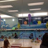 Little Flippers Swim School - Natick gallery