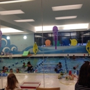 Little Flippers Swim School - Natick - Swimming Instruction