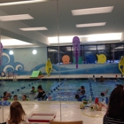 Little Flippers Swim School - Natick
