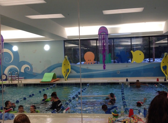 Little Flippers Swim School - Natick - Natick, MA