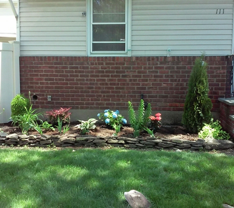 Geo Flores Landscaping - Westbury, NY. New plants.