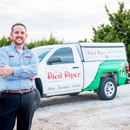 Joey The Piped Piper Pest Control and Termite - Pest Control Services