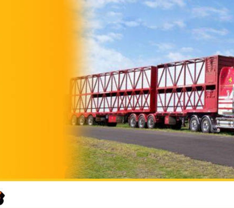 Stocktrans - Glen Innes, NSW