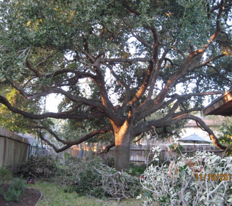 Lopez Tree Trimming - Kingsville, TX