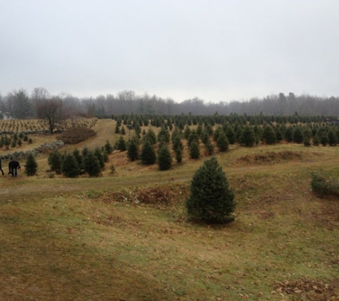 Evergreen Ridge Tree Farm - New Durham, NH