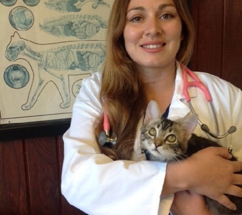 Sacramento Cat Hospital - Carmichael, CA