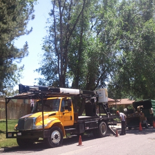 Mountain High Tree Lawn & Landscape - Lakewood, CO. Pruning my trees