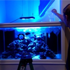 TerraReef Aquariums