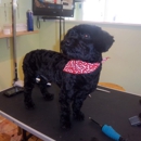 Magic Scissors Dog Grooming - Pet Services