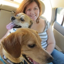 The Chipper Pet Sitter, LLC - Pet Waste Removal