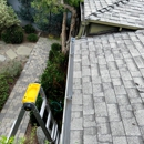 Squeegee Clean Windows - Window Cleaning