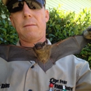 Cape Fear Wildlife Control, LLC - Pest Control Services
