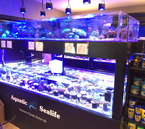 Aquatic Seallife - Metairie, LA