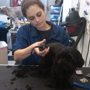 Furry Tails Mobile Pet Grooming