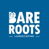 Bare Roots Landscaping gallery