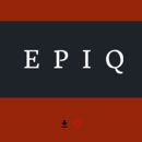 Epiq - Litigation Support Services