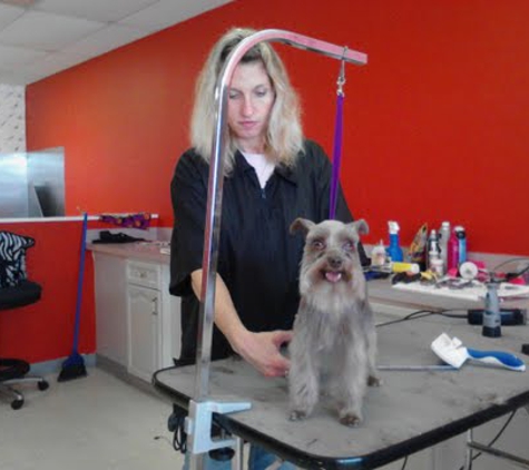 Pampered Pups Pet Grooming - Garland, TX