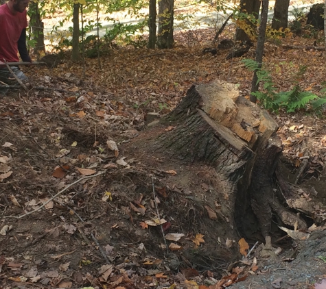 TNT Stump Grinding & Property Maintenance - Plainfield, NH. Tree up routed from storm in Pomfret Vt