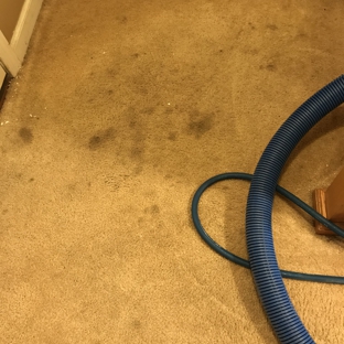 Max Impact Carpet Cleaning - Philadelphia, PA. Before