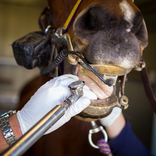 Warwick Veterinary Clinic - Warwick, QLD