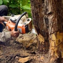 Mikes Tree Service & Landscaping LLC - Stump Removal & Grinding