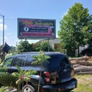Arbor Specialists Tree Health Care