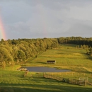 Horses with Hope Equine Rescue - Rescue Services