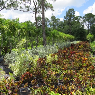 M&L Nursery - Loxahatchee, FL