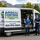 Animal Control & Removal Provo - Pest Control Services