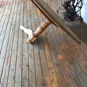Gallery Image Number 6