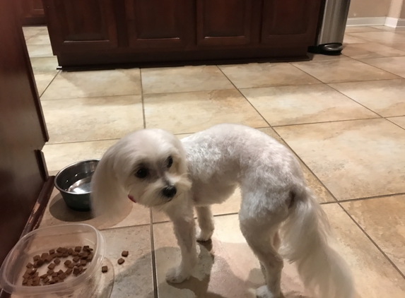 Rubber Doggies Wash N' Go - Schertz, TX. After her grooming appointment