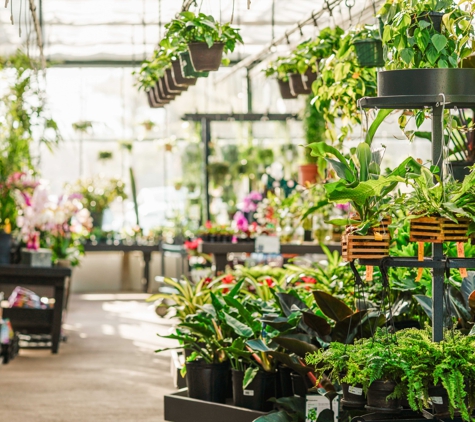 Mahoney's Garden Center - Concord - Concord, MA