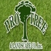 Pro Tree & Landscape Co Inc gallery