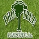 Pro Tree & Landscape Co Inc - Tree Service