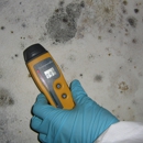 Mold Experts 24/7 - Mold Remediation