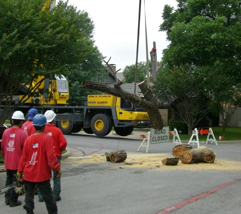 A Better Arborist Tree Service - Dallas, TX