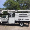 Affordable Tree Services LLC gallery