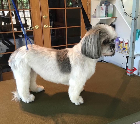 Wags & Wiggles Grooming Salon - Longmont, CO