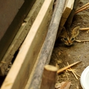 LaRues Pest Solution - Pest Control Equipment & Supplies
