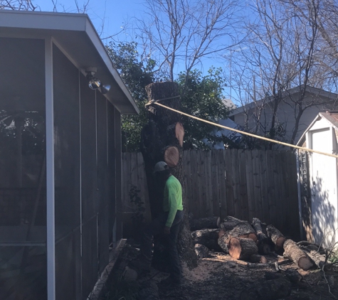 Blue Thunder Tree Service - Georgetown, TX