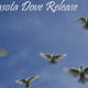 Sarasota Dove Release