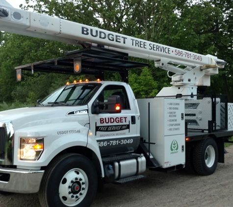 Budget Tree Service - Washington, MI