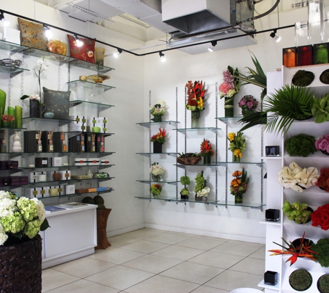 The Flower Shoppe and Things - Miami, FL