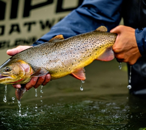 Westbank Anglers - Wilson, WY