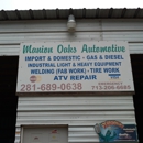 Manion Oaks Automotive - Auto Repair & Service