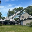 Martel Crane Service & Tree Removal - Tree Service