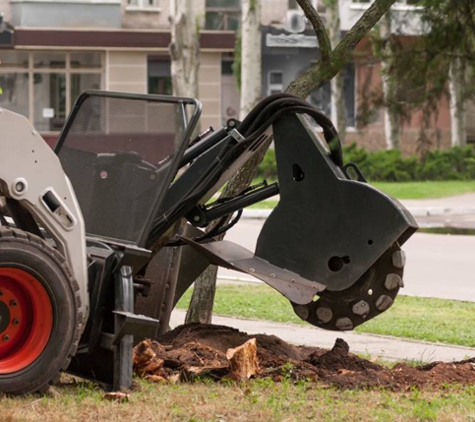 Lansing Tree Trimming & Removal Service - Lansing, MI. tree removal companies lansing